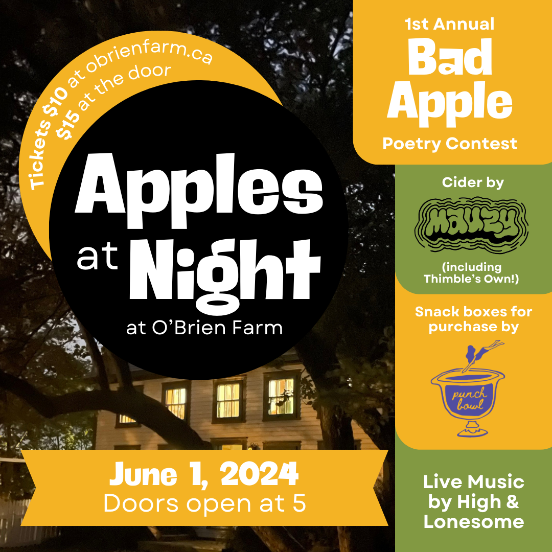 Apples at Night